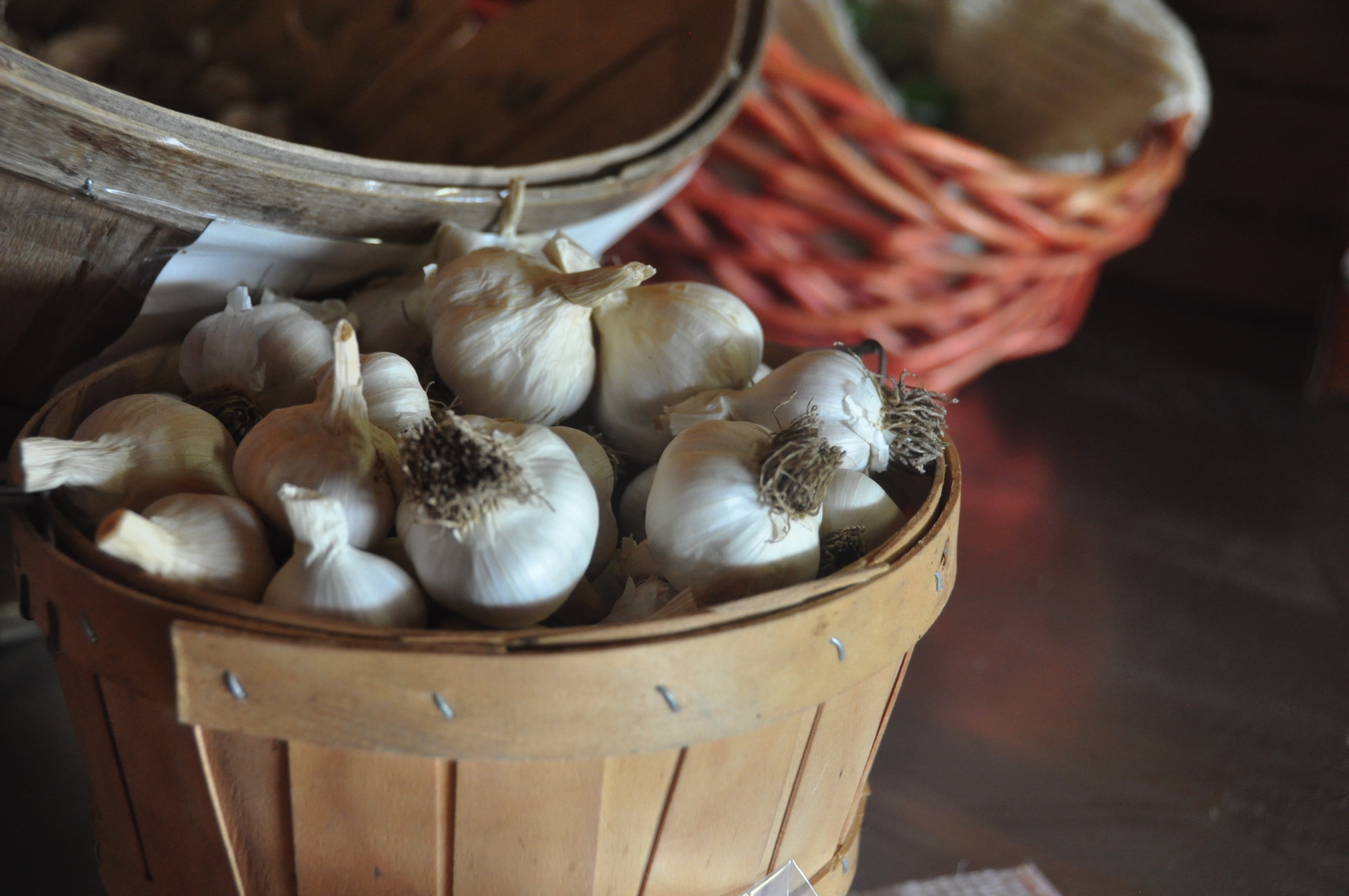 Photo of garlic in a basket